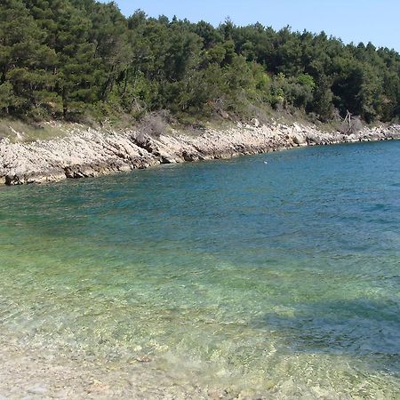 Holiday Home Botanica Drenje  Стая снимка